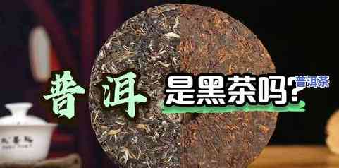 老班章老茶，探秘老班章老茶：品味历史与自然的交融