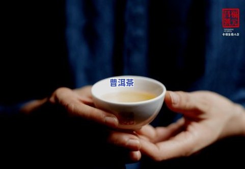 易武普洱茶之王应属哪座山头？探讨其代表茶的特点与魅力