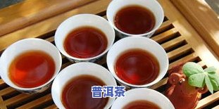 普洱茶品质因子不包括，探究普洱茶品质：哪些因素并不影响其质量？