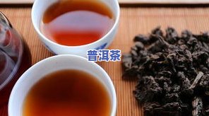 老班章茶是什么？特点与产地解析