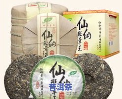 茶叶很大片是什么茶-茶叶很大片是什么茶类