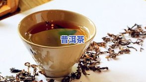 哪个茶区普洱茶有兰花香，探寻普洱茶的香气源头：揭秘哪个茶区的普洱茶具有特别的兰花香味