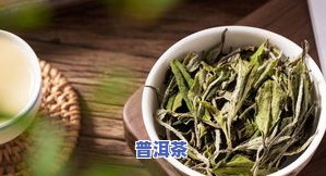 普洱茶细末怎样冲泡更好-普洱茶细末怎样冲泡更好喝