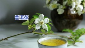 吃了什么喝普洱茶更好？女生必看！