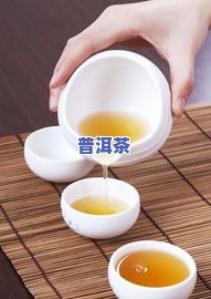 老班章资料，深入熟悉老班章：茶叶品种、产地与特点全解析