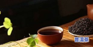 没人喝普洱茶老九-顶级老普洱茶喝后体感