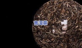 普洱茶叶分几样品种的茶是什么，探究普洱茶叶的种类：熟悉不同品种的特点和区别