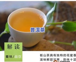 老班章是生茶还是熟茶好，探究老班章的韵味：生茶与熟茶哪个更胜一筹？