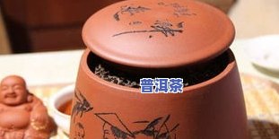 古树普洱茶与饼茶：口感比较与选择建议