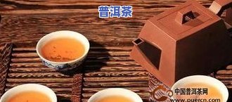 古树普洱茶与饼茶：口感比较与选择建议