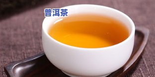 海南老班章古茶订购-勐海老班章茶业