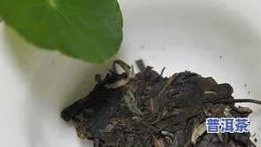 1912普洱茶-1902普洱茶