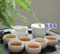 中茶普洱茶饼价格及图片全览