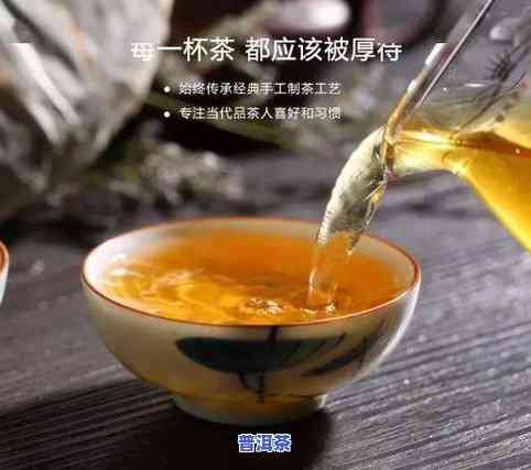 7510普洱茶与7542对比：哪款更胜一筹？