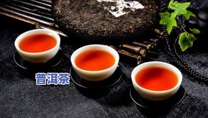 百花潭普洱茶价格全面解析：2022-2023年最新价目表