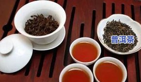 茶道普洱茶冲泡方法视频教程详细讲解