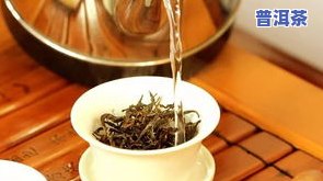 金砖普洱茶的功效作用及禁忌：高档次、价位解析