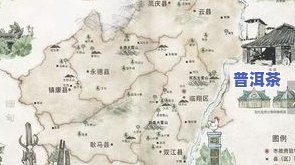 临沧大树茶：特点、价格与地理信息全解析