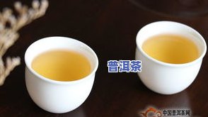 云南普洱茶生茶七子饼-云南普洱七子饼茶生茶价格查询