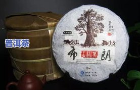 中茶老班章熟茶品饮-中茶老班章熟茶品鉴