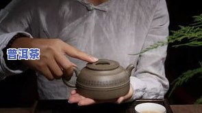 乔木古树普洱茶价格表：老树、熟茶全面解析