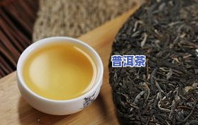 乔木古树普洱茶价格表：老树、熟茶全面解析