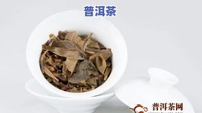 曼松普洱茶咋样泡好喝呢视频，【视频教程】怎样泡制一杯美味的曼松普洱茶？