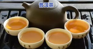 班章普洱茶简介，探秘班章普洱茶：历史、产地与品鉴指南