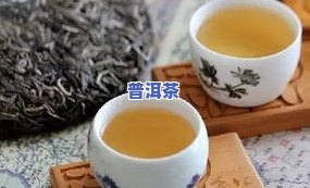 探究茶叶普洱茶口感特点：深度解析与图片展示