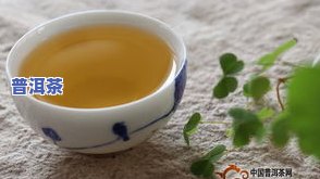 什么样普洱茶好喝，怎样挑选好喝的普洱茶？关键要素解析