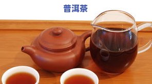 普洱茶初制工艺详解图标-普洱茶初制工艺详解图标大全