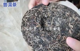 杨家坪茶叶场，探索重庆杨家坪茶叶场：品种丰富，价格实惠！