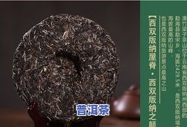 新普洱茶价格：最新市场行情及查询方法