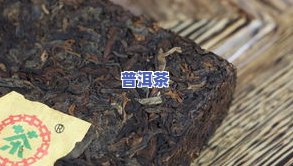 普洱茶厂特色有哪些茶种-普洱茶厂特色有哪些茶种类