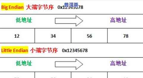 什么叫乔木普洱茶，探究乔木普洱茶的奥秘：什么是乔木普洱茶？