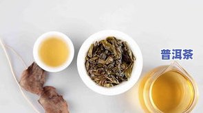 什么叫乔木普洱茶，探究乔木普洱茶的奥秘：什么是乔木普洱茶？