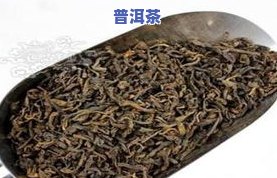 为什么有人诋毁普洱茶呢-为什么有人诋毁普洱茶呢