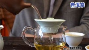 普洱茶源茶厂，探索普洱茶的源头：揭秘普洱茶源茶厂