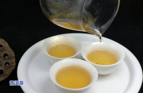 普洱茶源茶厂，探索普洱茶的源头：揭秘普洱茶源茶厂