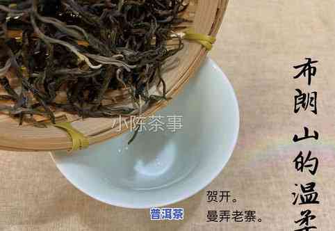 大益普洱茶市值：最新价值几何？