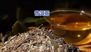 老班章熟茶1992-老班章熟茶口感