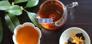 老同志普洱散茶(熟茶)，品味岁月醇厚：老同志普洱散茶(熟茶)