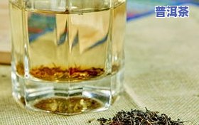 普洱茶，探寻茶文化：深入理解普洱茶的魅力与历史