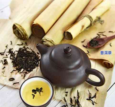 糯香普洱茶是凉性还是热性，糯香普洱茶：它是凉性还是热性？