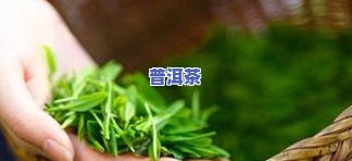 普洱生茶泡多长时间为好，普洱生茶冲泡时间：怎样掌握更佳口感？