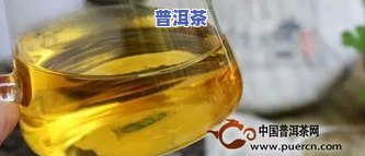 云南普洱茶叶大全：排行榜及推荐