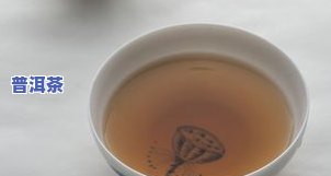 用塑料储物盒可以存普洱茶吗为什么，采用塑料储物盒存放普洱茶的利弊分析