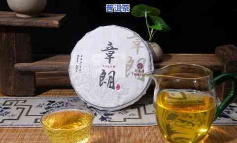 普洱茶的前景，探索普洱茶的未来：市场前景与发展趋势分析