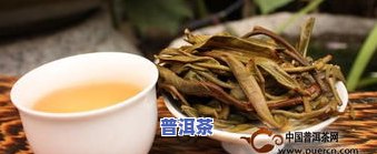 普洱茶加盟店排行榜前十名，揭秘普洱茶加盟店排行榜前十强，投资加盟不可错过！