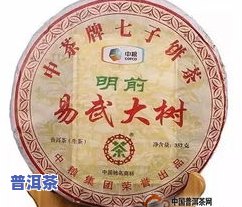 德清茶叶属于什么茶-德清茶叶属于什么茶类